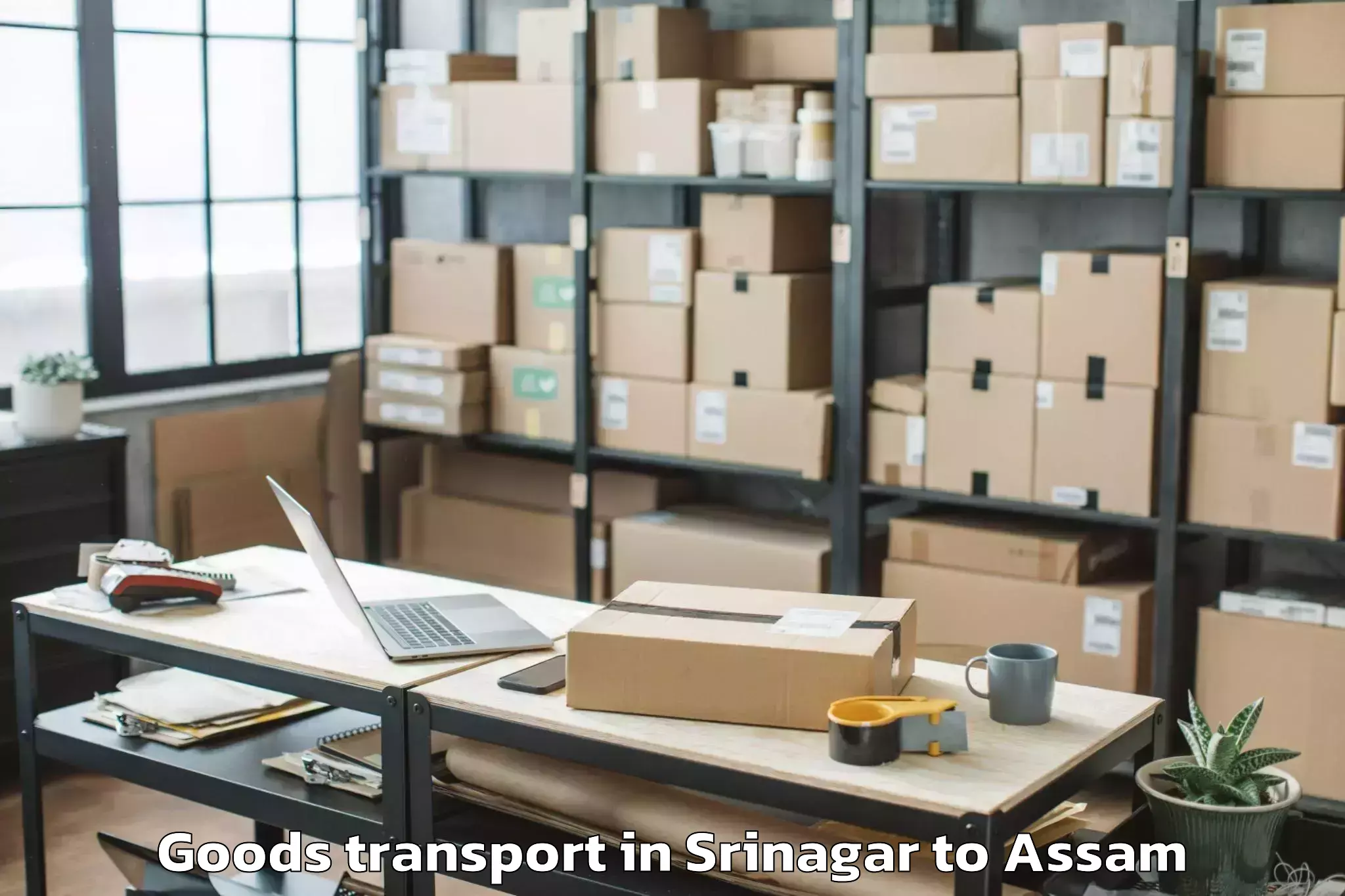 Trusted Srinagar to Salonibari Airport Tez Goods Transport